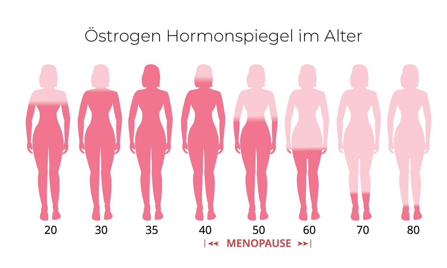 infografik-oestrogenspiegel-alter