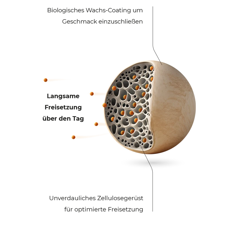 Mikrotransporter: Verzögerte Freisetzung der Nährstoffe